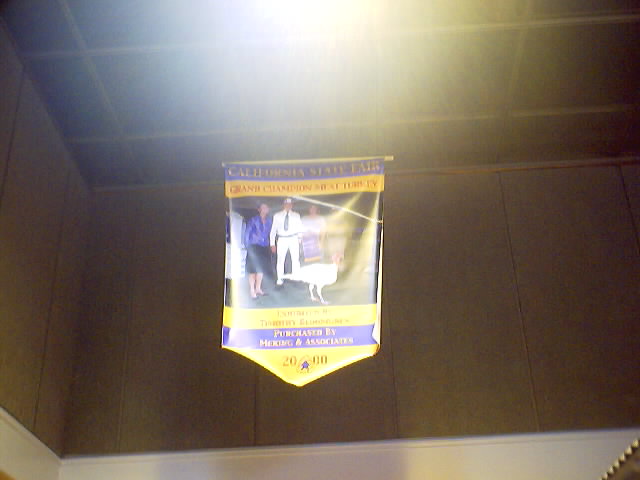 Grand Champion Meat Turkey...meat?!