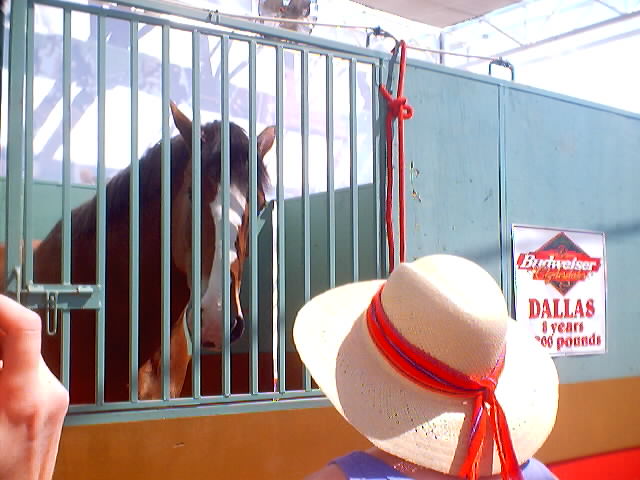 Nuthin says BEER like a big HORSE.