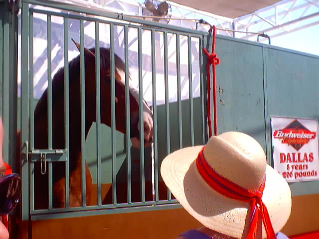 I'm tired. Time for anime.